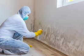 Best HVAC Mold Inspection and Cleaning  in San Carlos, TX