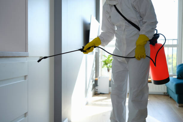 Best Mold Remediation for Healthcare Facilities  in San Carlos, TX